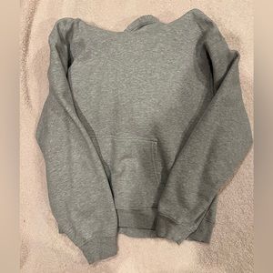 Aritzia Cozy Fleece Perfect Fit Hoodie